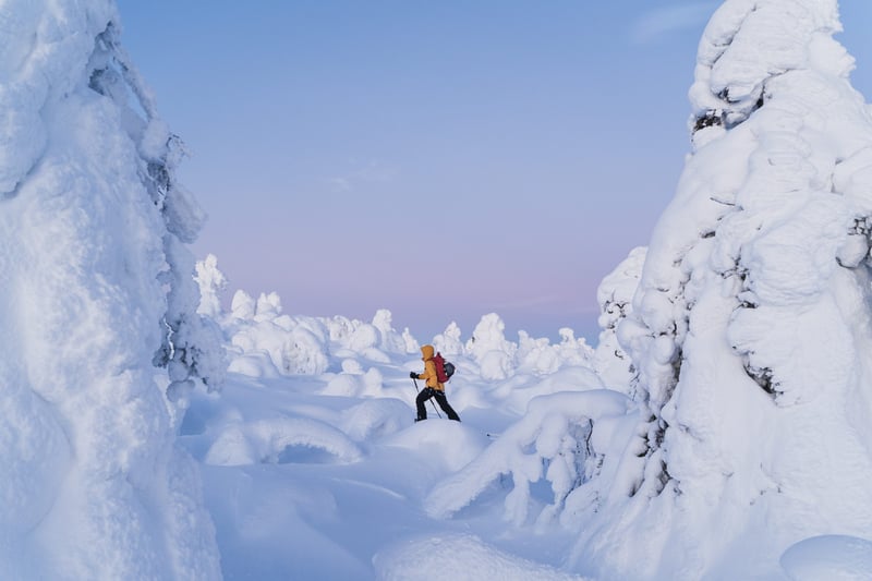 Evening Snowshoeing Adventure in Levi, photo 2
