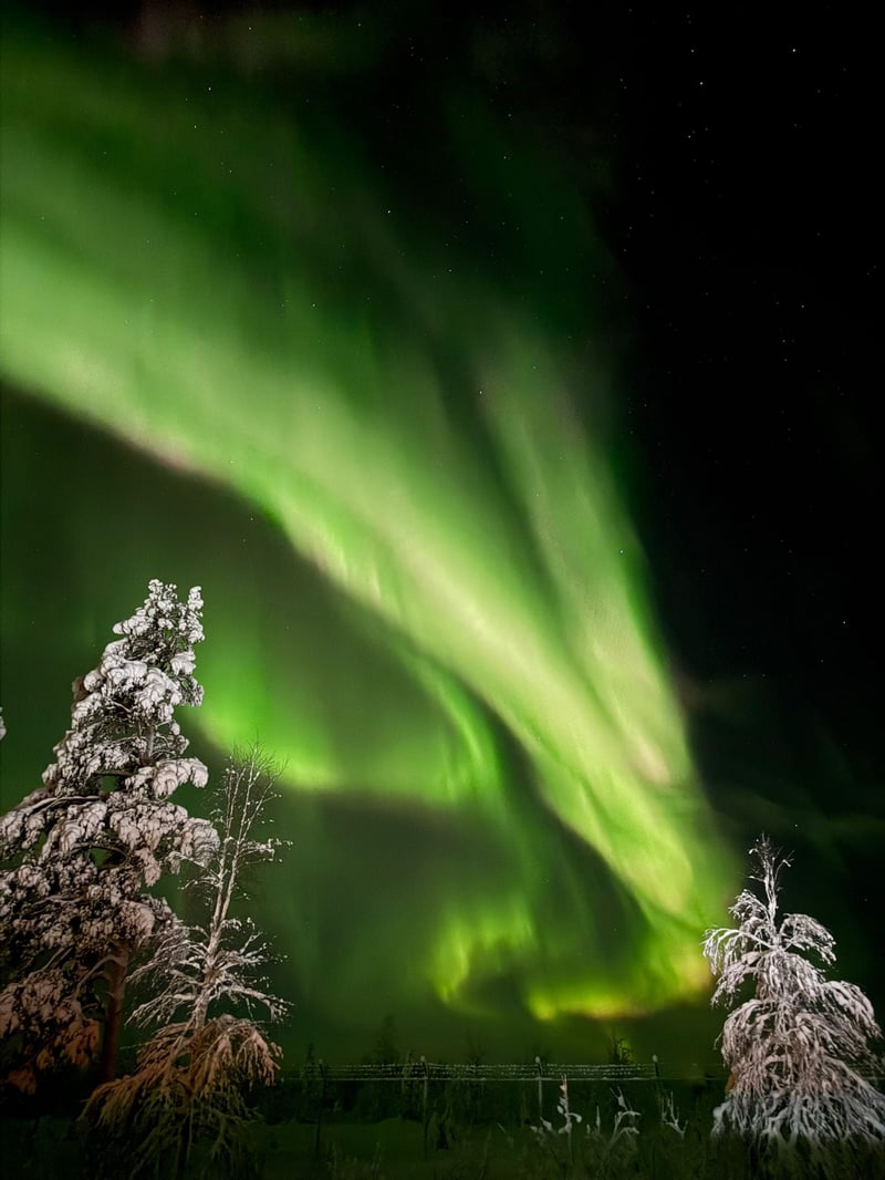 Northern Lights Snowmobile Trip in Rovaniemi, photo 5