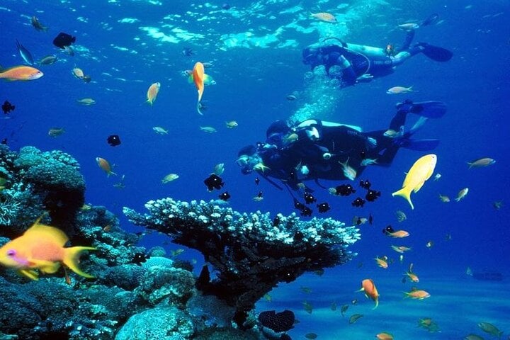 PADI Advanced Open Water Diving Course with Lunch and Transfer in Hurghada, photo 3