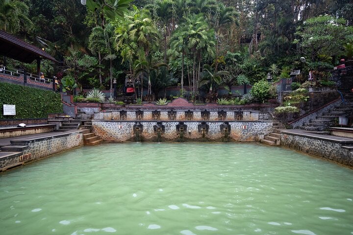 Dolphin Watching and Snorkelling at Lovina in Bali, photo 4