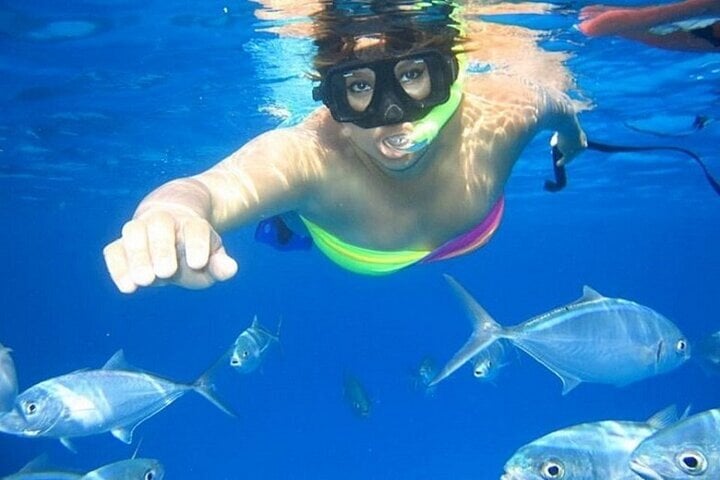 Swim with Dolphins: Sea Trip Adventure with Lunch in Marsa Alam, photo 5