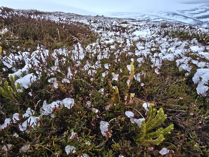 Winter Navigation Courses in Scotland, photo 5