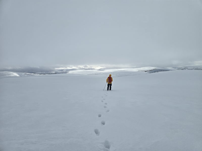 Winter Skills Courses in Scotland, photo 5