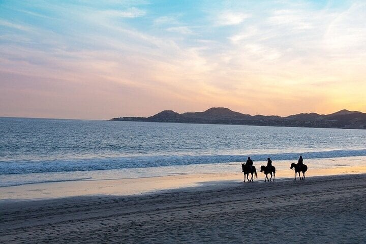 2 Hour Horse Ride at Nabq Bay Beach with Transfer in Sharm El Sheikh, photo 4