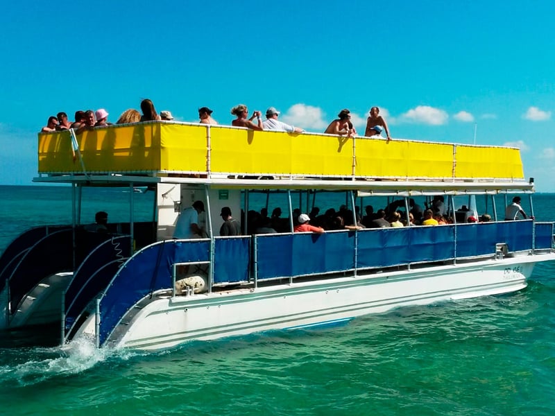 Whale Shark Encounter in Isla Mujeres, photo 4