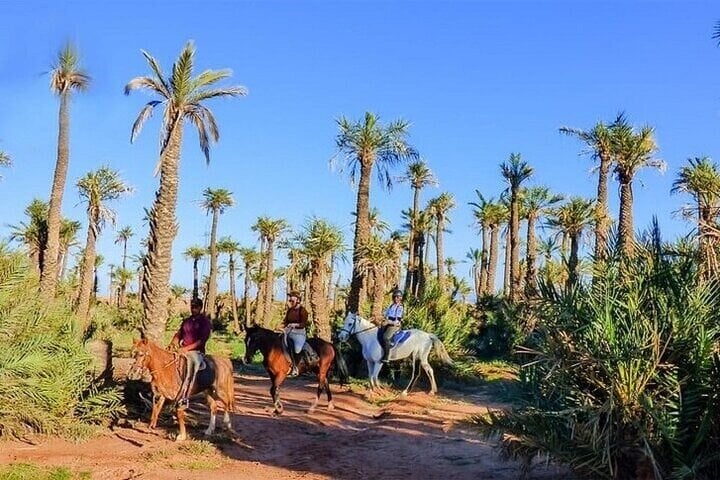 Palmeraie Grove: Two Hours Horse Riding and Transfer in Marrakesh, photo 4