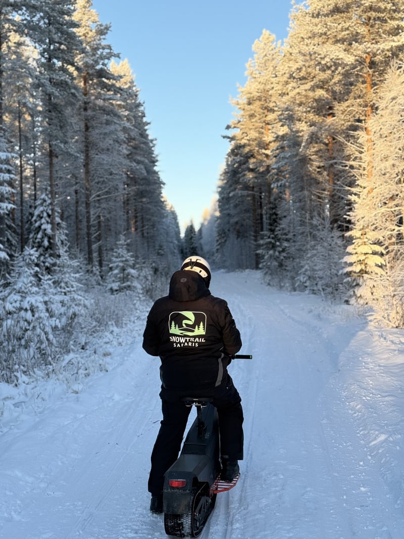 Electric Reindeer Safari with Reindeer Farm Visit in Rovaniemi, Lapland, photo 3