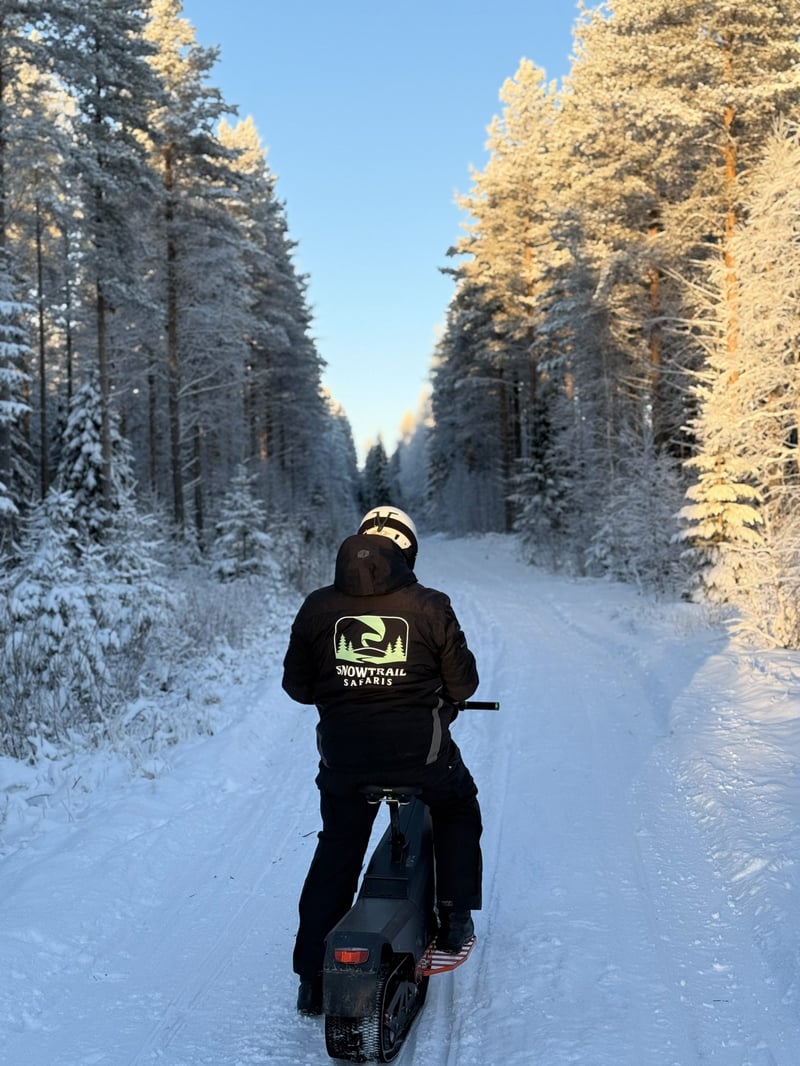 Private Electric Reindeer Safari to Santa’s Hidden Cabin in Rovaniemi, Lapland, photo 3