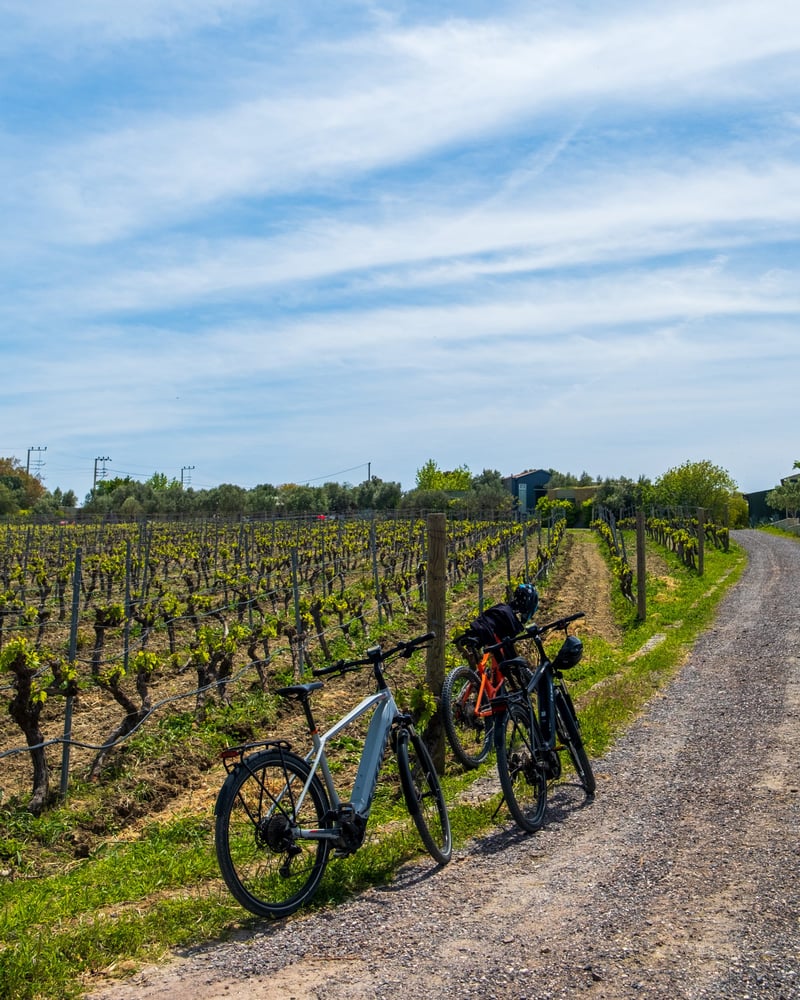 Guided Aegean Coast E-Biking and Wine Tour in Alacati, foto 2