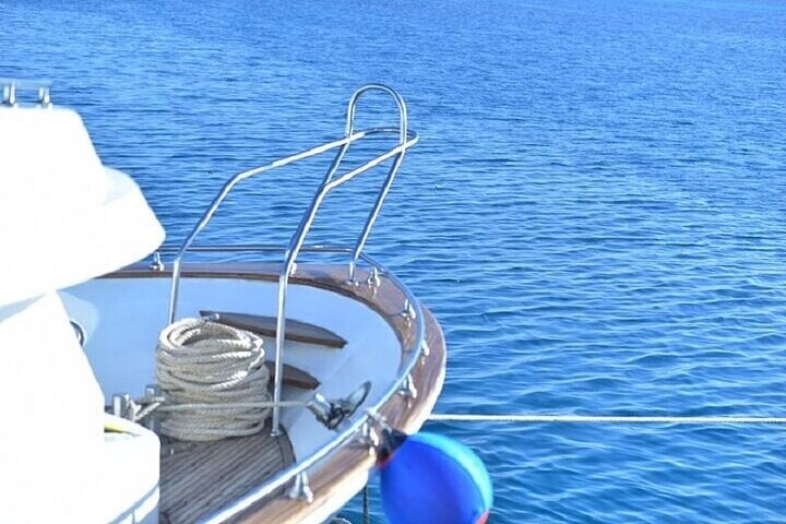 Coral Garden: Full Day Snorkelling Trip with Lunch in Marsa Alam, photo 5