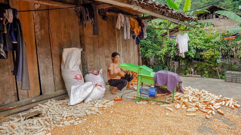 8 Day Cycling Tour in Northeast Vietnam, photo 4