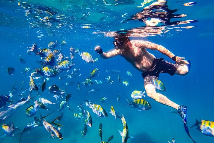 Luxury Yacht Sailing, Snorkelling and Paddleboarding in Puerto Vallarta, photo 2