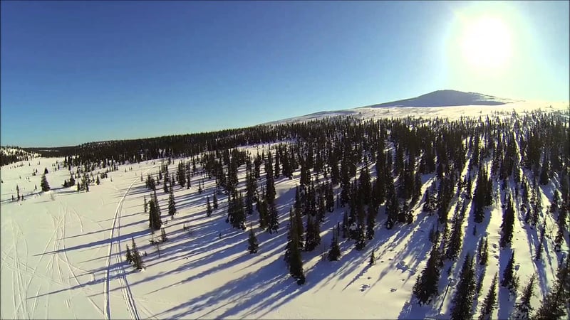 Heart of Wilderness Snowmobile Adventure in Rovaniemi, foto 5