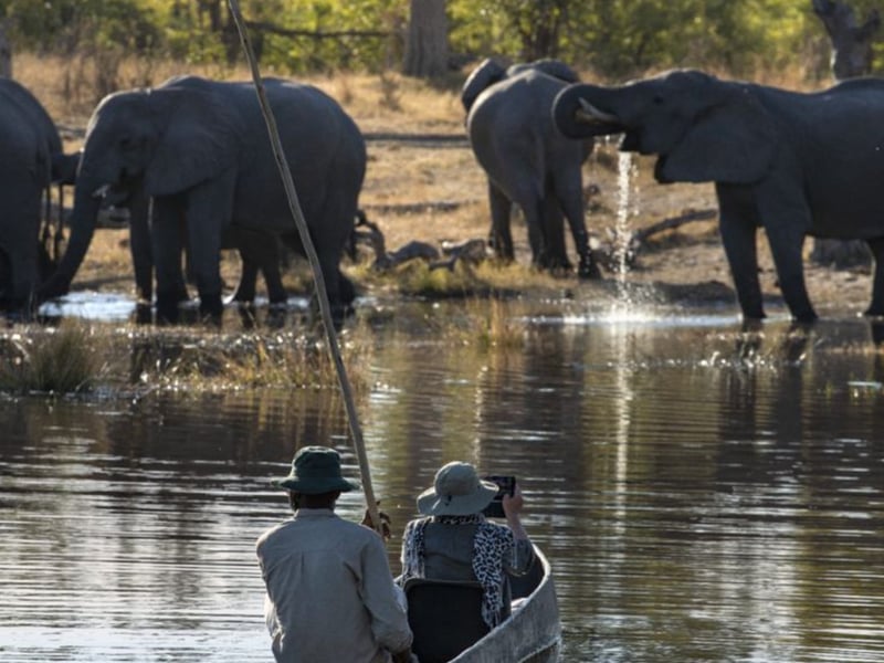 Mokoro Hike and Camp in the Okavango, photo 3