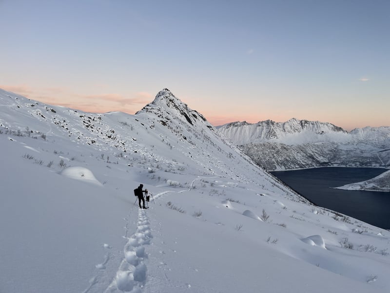 Snowshoe Hike to Hesten in Senja, photo 2