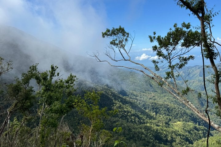 Blue Mountain Hiking and Coffee Tour, photo 4