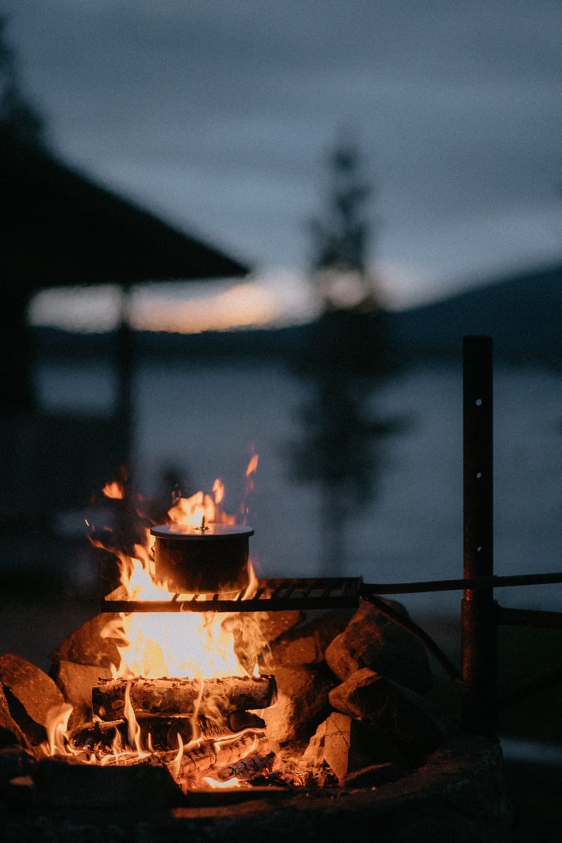 Wilderness and Campfire Experience with Lunch by the Lake from Levi, photo 3