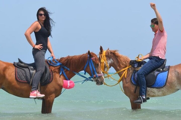 Horse Riding: 2 Hours Sea and Desert with Transfer in Hurghada, photo 3