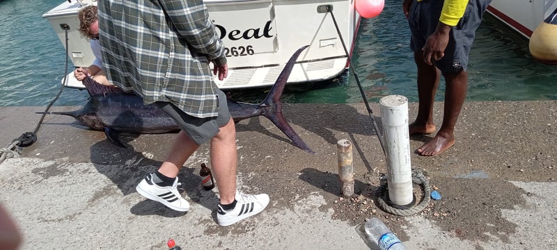 Deep Sea Fishing in Ocho Rios, photo 4
