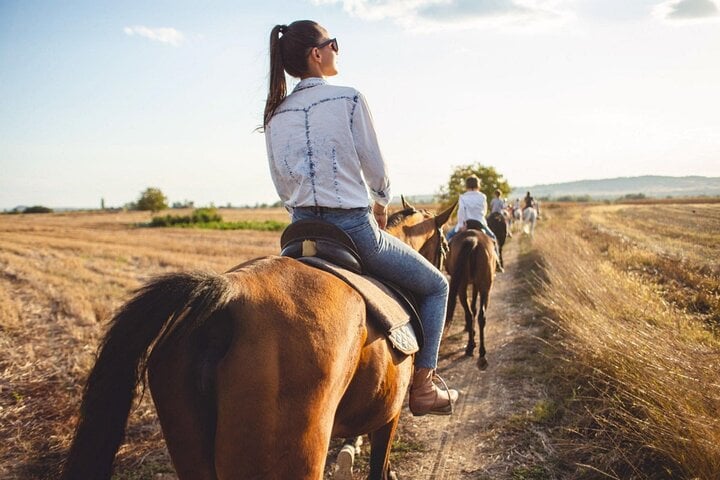 2 Hour Horse Riding in the Amazing Desert and Transfer in Marsa Alam, photo 5