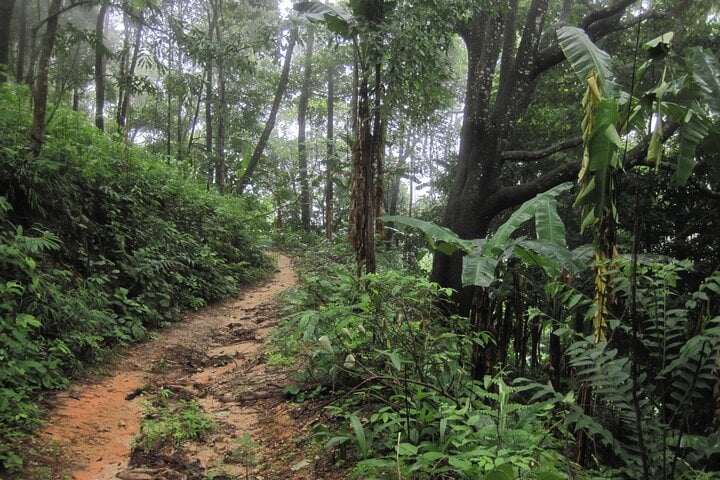Full-Day Advanced XC Downhill Biking at Doi Suthep National Park, photo 4