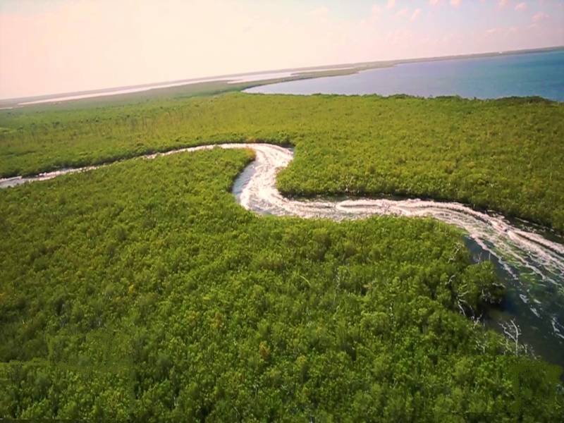 Jungle Speedboat and Snorkelling Tour in Cancún, photo 3