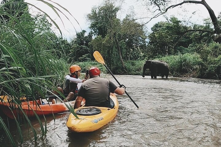 Jungle White Water Kayaking on Mae Wang River in Chiang Mai, photo 3