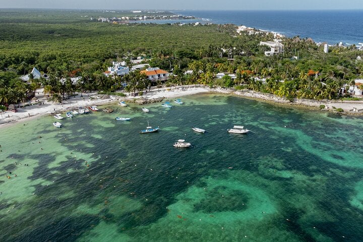 Sea Turtle Snorkel in Akumal Bay, photo 3