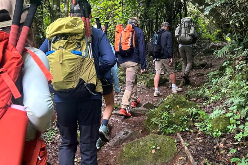 Seven Day Lemosho Trekking in Moshi, photo 3