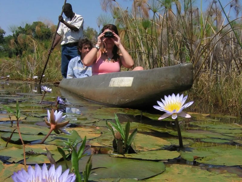 Mokoro Hike and Camp in the Okavango, photo 4