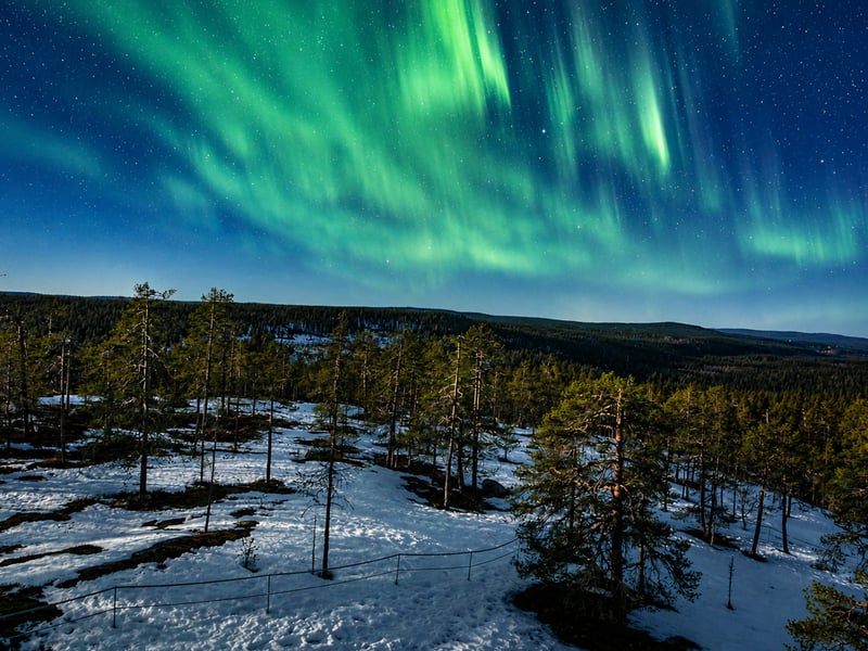 Auttiköngäs Northern Lights Night Hike in Rovaniemi, photo 3