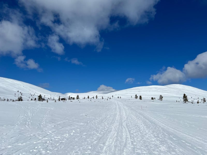 Snowshoeing in Rovaniemi, photo 5