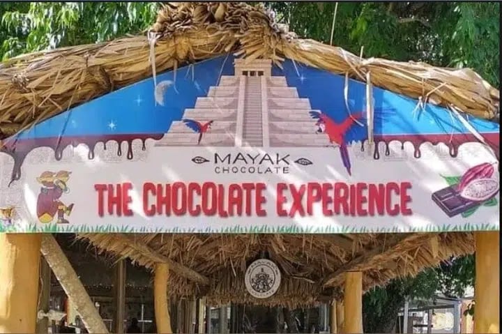 Dune Buggy Jungle Tour with Chocolate Rum Tasting and Animal Park in Roatan, photo 5