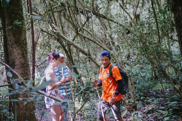 Jungle Trekking and Lake Canoeing at Tamblingan in Bali, photo 5