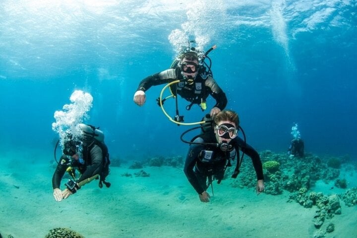 PADI Advanced Diving Course and Transfer with Lunch in Marsa Alam, photo 4