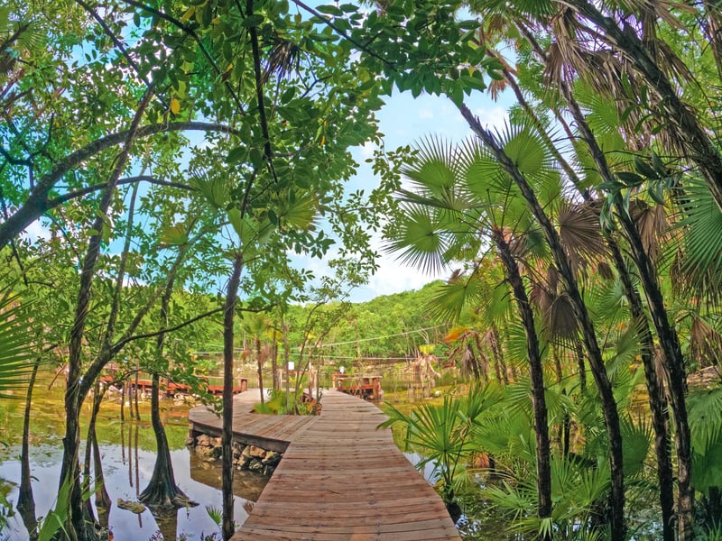 ATV Adventure Tour in Cancún and Riviera Maya, photo 2