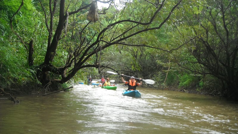 2-Day Mae Ping River Kayaking Adventure in Chiang Dao, photo 4