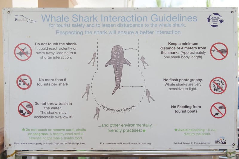 Oslob Whale Shark and Tumalog Falls – Shared Tour, photo 2