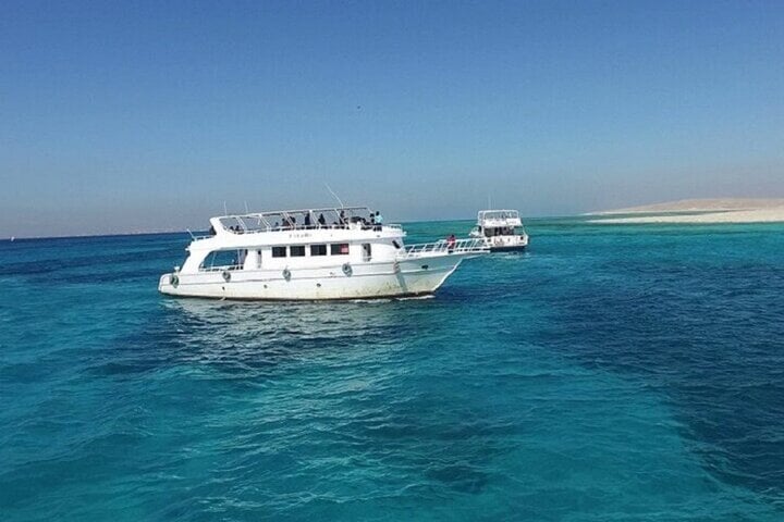 Full Day Coral Garden Snorkelling and Diving with Lunch in Marsa Alam, photo 3