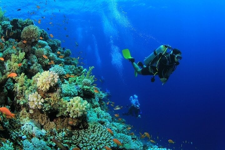 PADI Advanced Open Water Diving Course in the Red Sea in Sharm El Sheikh, photo 5