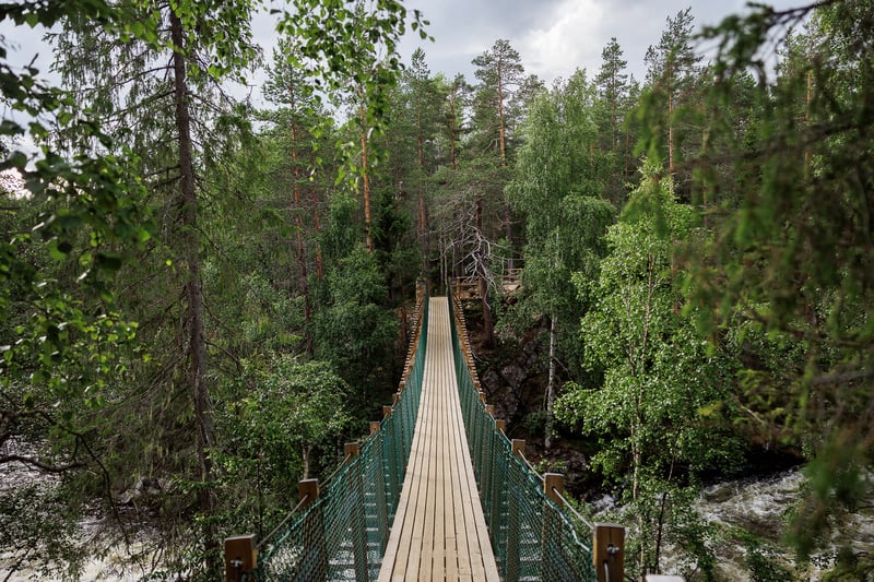 Oulanka Wild Ride in Kuusamo, photo 3