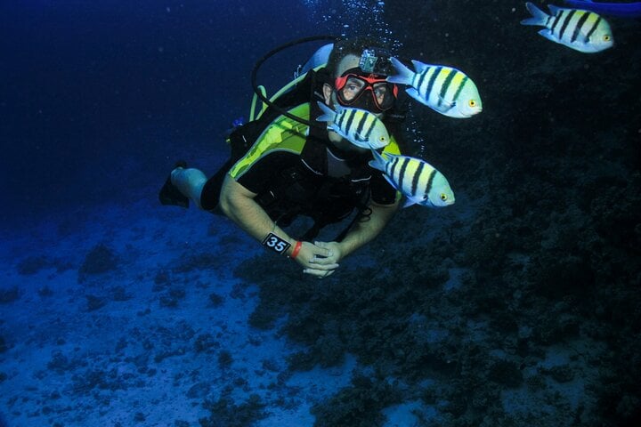 PADI Open Water Diving Course with Transfer in Marsa Alam, photo 5