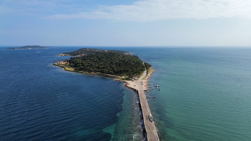 Guided Aegean Coast E-Biking and Wine Tour in Alacati, foto 5