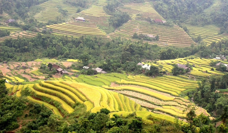 9 Day Trekking in Northern Vietnam, photo 5