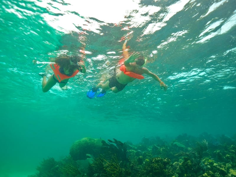 Isla Mujeres Snorkel and Lunch in Isla Mujeres, photo 4