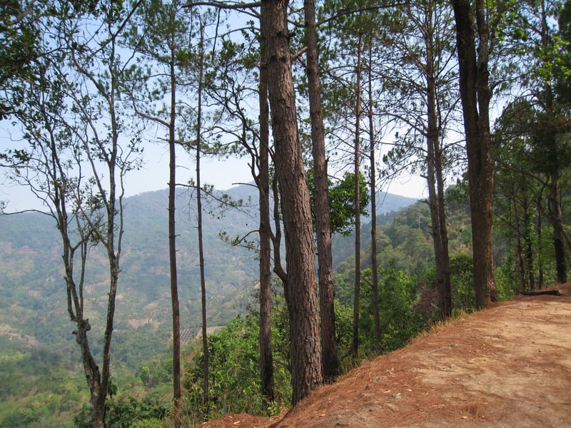 Full-Day Eliminator 2 Advanced XC DH Ride in Chiang Mai, photo 4