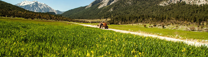 Trail Running Camp on the Lycian Way in Antalya, foto 5