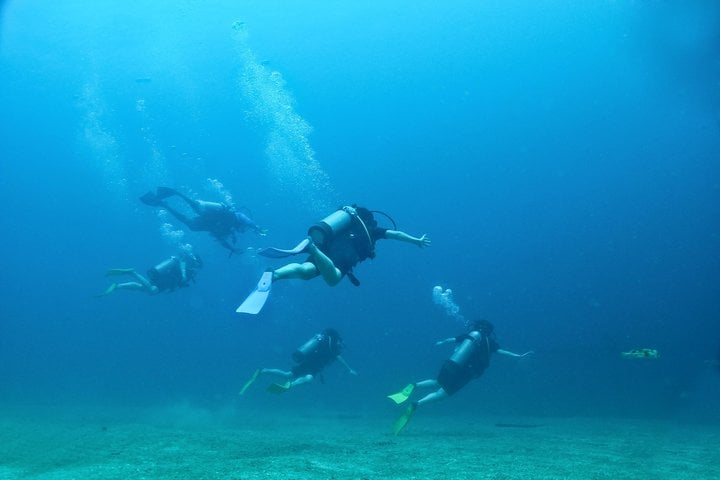 Beginner Scuba Course in Puerto Vallarta, photo 4