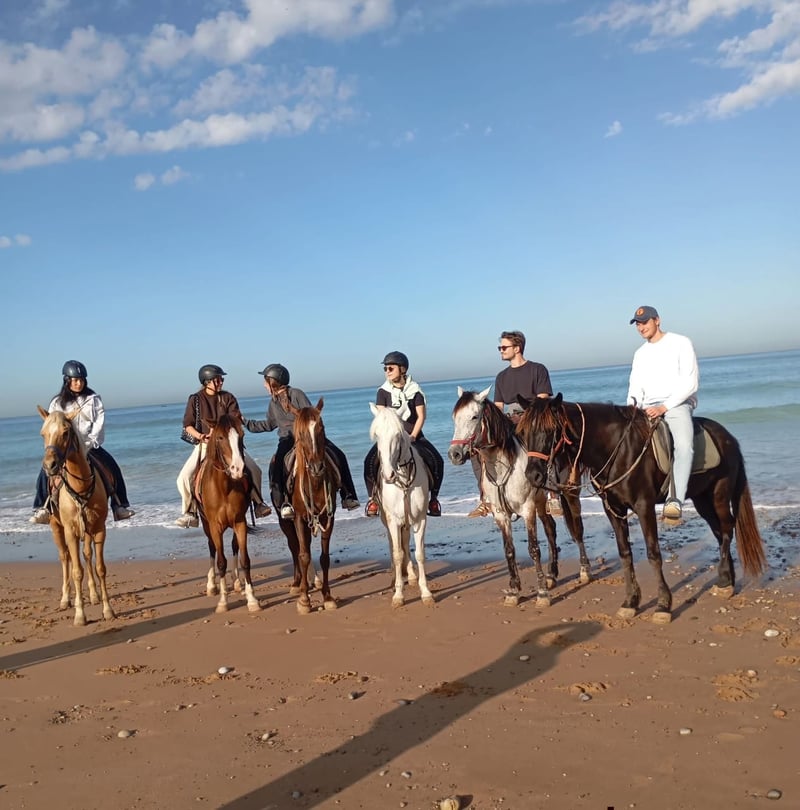 Horse Riding Experience in Agadir, photo 2