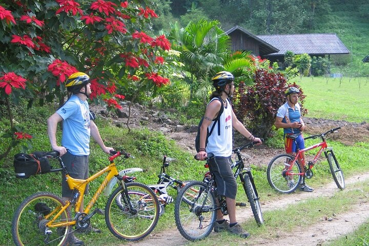 Full-Day Advanced XC Downhill Biking at Doi Suthep National Park, photo 3